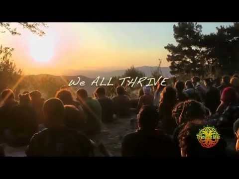 Tree of Life Festival 2014 (Official Movie by Blink)